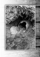 Книга секреты Explorer или чего нет в инструкции (4)