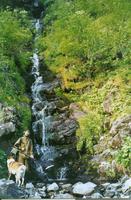 Ручьи глубоко врезаны в коренные породы, нередко в руслах имеются выходы коренных пород на поверхность