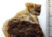 В кварце иногда визуально различимо золото размером несколько миллиметров