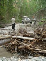 Дорогу перегораживали деревья, упавшие при весеннем паводке