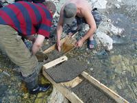 Съемка золота с проходнушки в лоток для дальнейшей промывки