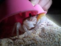 ради развлечения, одного можно и поймать, не всю же ночь махать катушкой