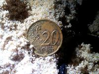 по монетам на пляже  можно изучать географию