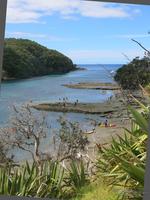 Goat-Island-Козий-остров-Новая-Зеландия