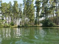 Вид на берег  кемпинга Lake Whakamaru с воды Гдето там и мой Нюх стоит