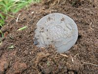 5 копеек 1778 год Сибирь находка кладоискателей улус Муриннский Иркутской области  клуб кладоискателей clubklad.ru Найдена металлоискателем