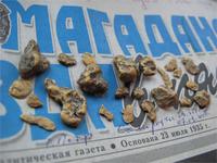 Золотые самородки Магадана. Август 2008 г.