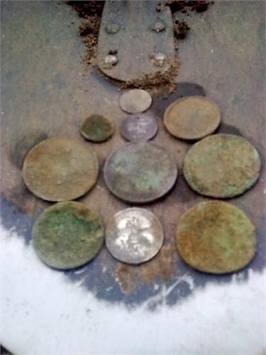 Подарок земляного дедушки.