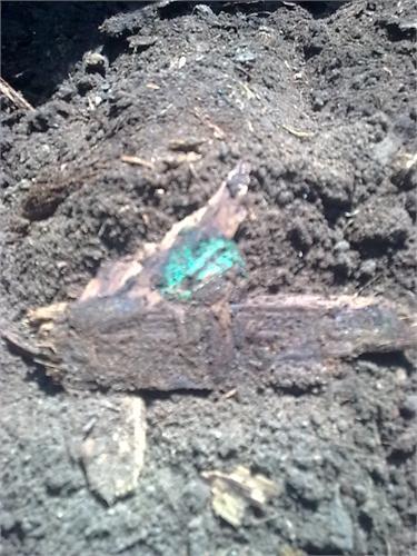 300лет вземле.