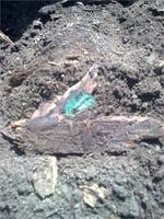 300лет вземле.