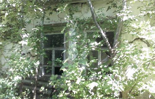 заброшенный дом