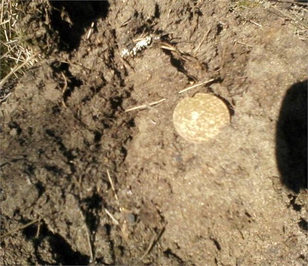 5копеек ссср 1938 пока киснет в мыльном растворе