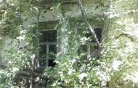 заброшенный дом