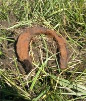 КОНЬ ПОТЕРЯЛ