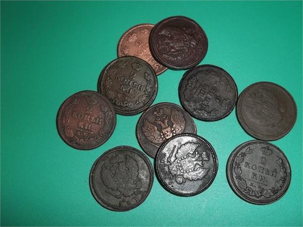 Водном гнездышке.