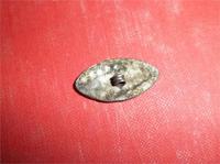 Похоже на серьгу.