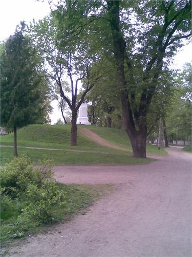 5464.jpg