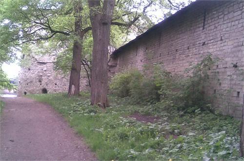5474.jpg