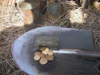 Находка на 3,4 кг_Фото №4