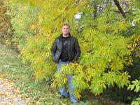 Изображение 121