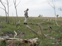 старая деревня НСО