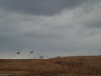 SAM_0116