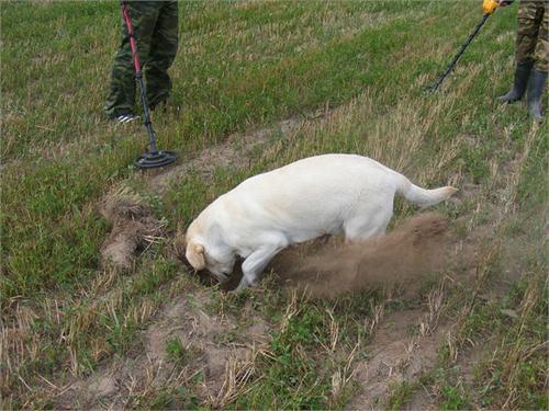 Только пыль столбом!!!)))