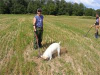 Я ищу, а Иветта копает...)))