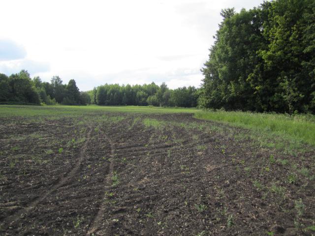 Бобыльская гора 008