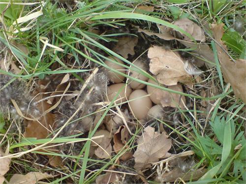 Где-то во Владимирской.. )