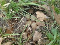 Где-то во Владимирской.. )