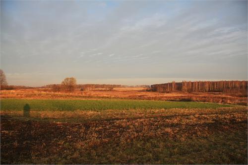 4723.jpg
