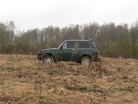 рабочая лошадка