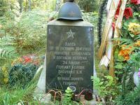 в лесу