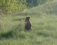 1140.jpg