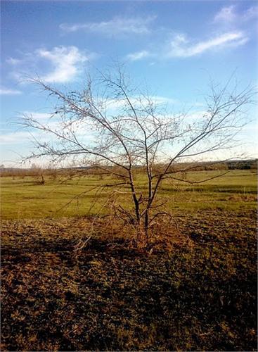 Пейзажи поисковых мест
