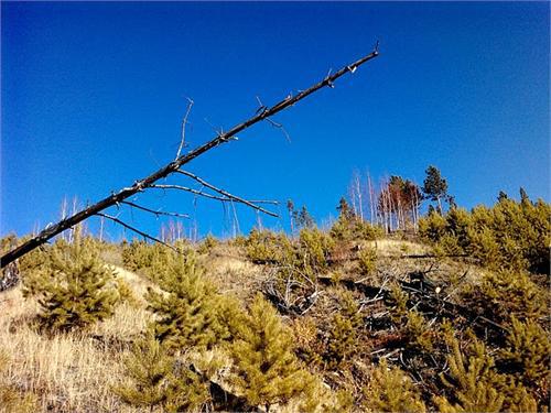 Пейзажи поисковых мест