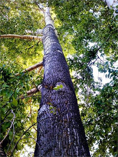 Пейзажи поисковых мест