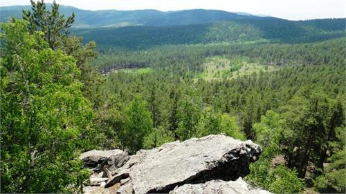 Путь домой не далек и не близок.