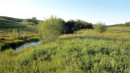 Ключ вблизи старой Сафроновки.