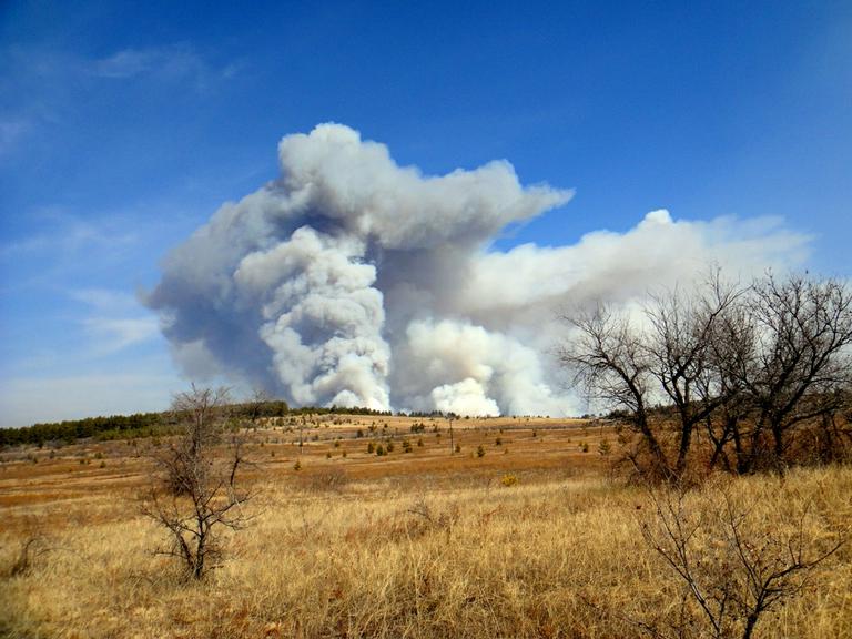 Горят леса :(