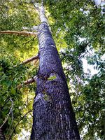 Пейзажи поисковых мест