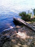 Пейзажи поисковых мест