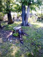 Пейзажи поисковых мест