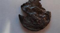 Серебрянная сибирь