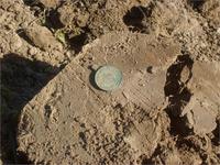 Вот она радимая