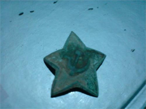 звезда найдена в лесу