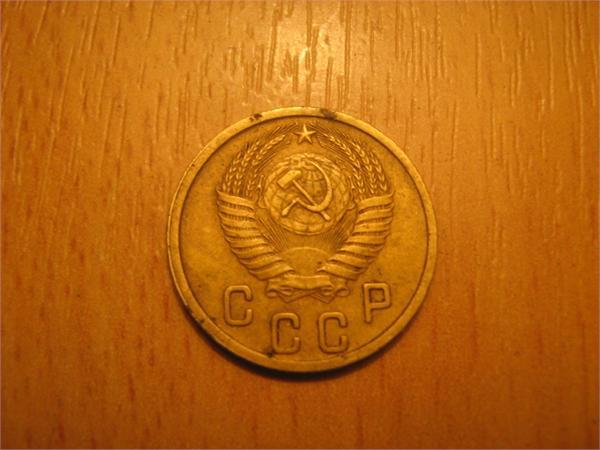 нашел в огороде