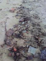 Вот так прогуливаясь по берегу реки и нахожу....