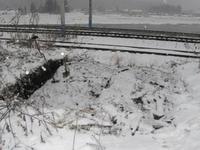 Шурф получился гдето 3 х 4 метра.Глубиной местами до 1,5 м. За железкой река Купа. Сама дорога проходит по месту где стояли самые старые дома и находилось Мукское плотбище.На котором Витус Беринг строил свои барки для знаменитой Камчатской экспедиции